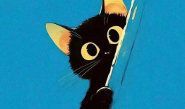 小黑猫动漫,萌动心灵，奇幻冒险之旅